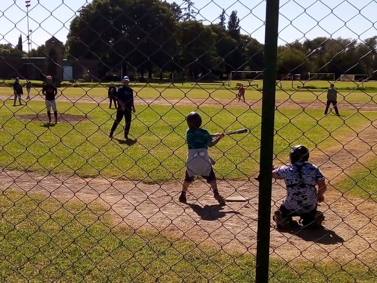 ⚾ Reserva al rojo vivo y Dolphins firme en Primera