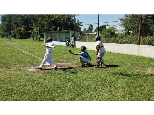 La Federación Cordobesa de Béisbol y Sóftbol abre la temporada 2026 con más equipos, nuevo formato y fuerte apuesta a las inferiores